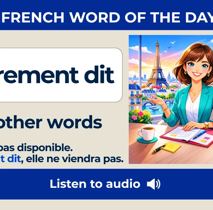 Autrement dit — Meaning, Pronunciation, and Examples in French