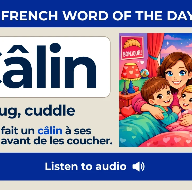 Câlin — Meaning, Pronunciation, and Examples in French