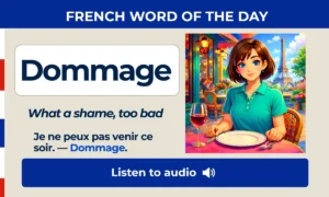 Dommage – What a shame, too bad – French Word of the Day