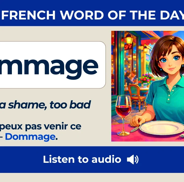 Dommage &mdash; Meaning, Pronunciation, and Examples in French
