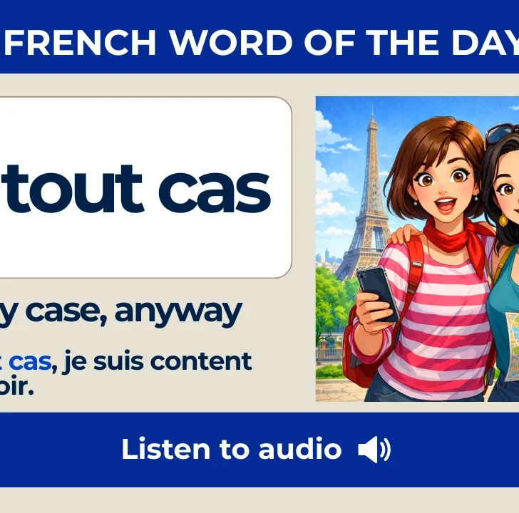 En tout cas &mdash; Meaning, Pronunciation, and Examples in French