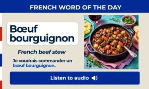 Bœuf bourguignon – French beef stew – French Word of the Day