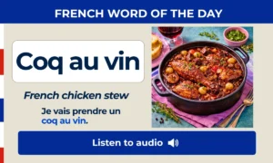 Coq au vin – French chicken stew – French Word of the Day