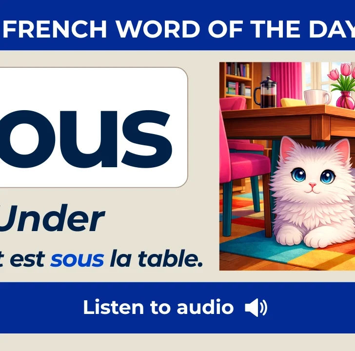 Sous &mdash; Meaning, Pronunciation, and Examples in French